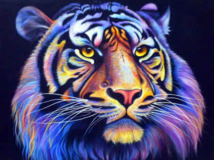 Tiger / Purple haired - Black background