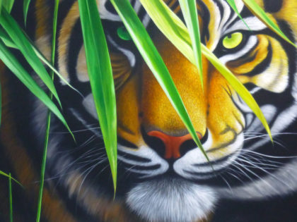 Tiger / Odd-eyed tiger - bamboo