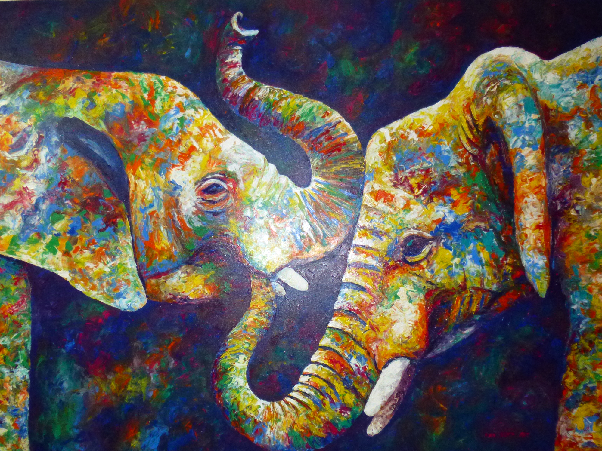 Couple elephant