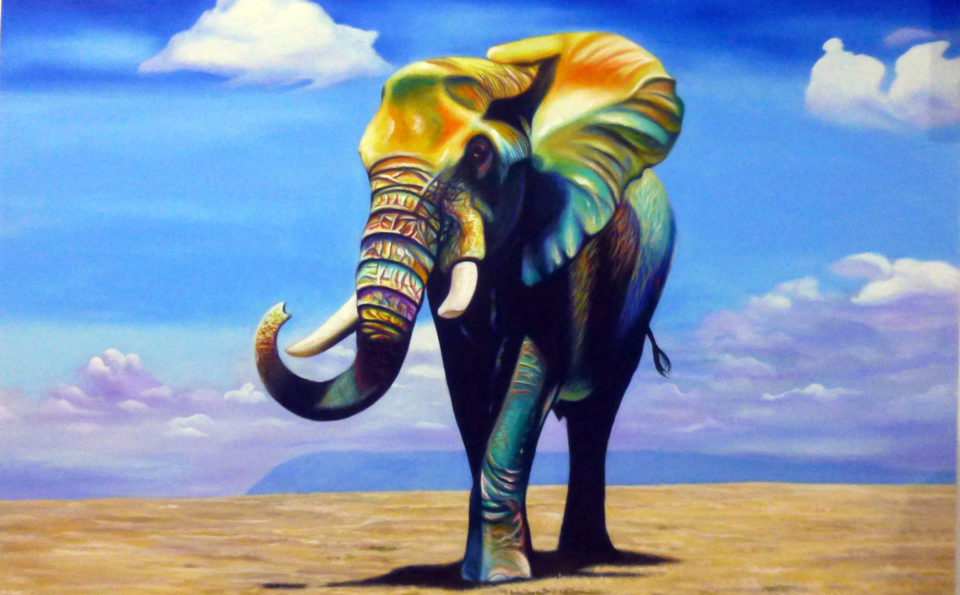Single elephant