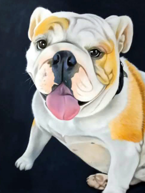 Dog portrait