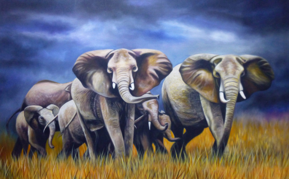 Herd of elephants