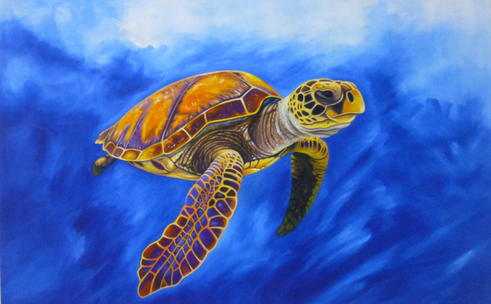 Sea turtle / White and blue background