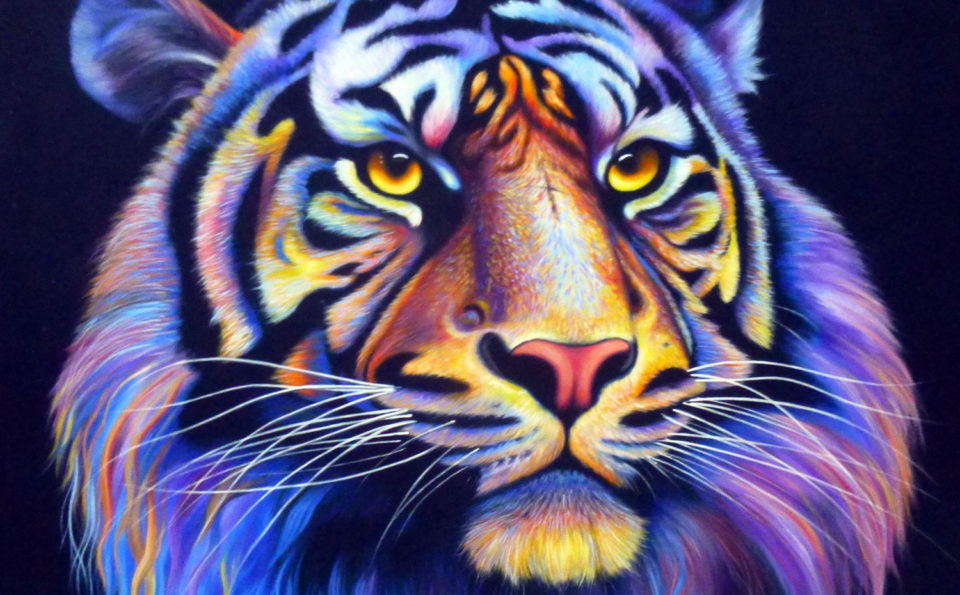 Tiger / Purple hair – Black background
