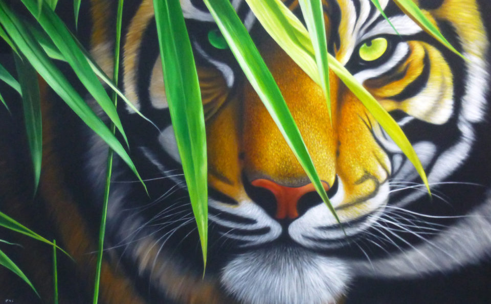 Tiger / Odd-eyed tiger – bamboo