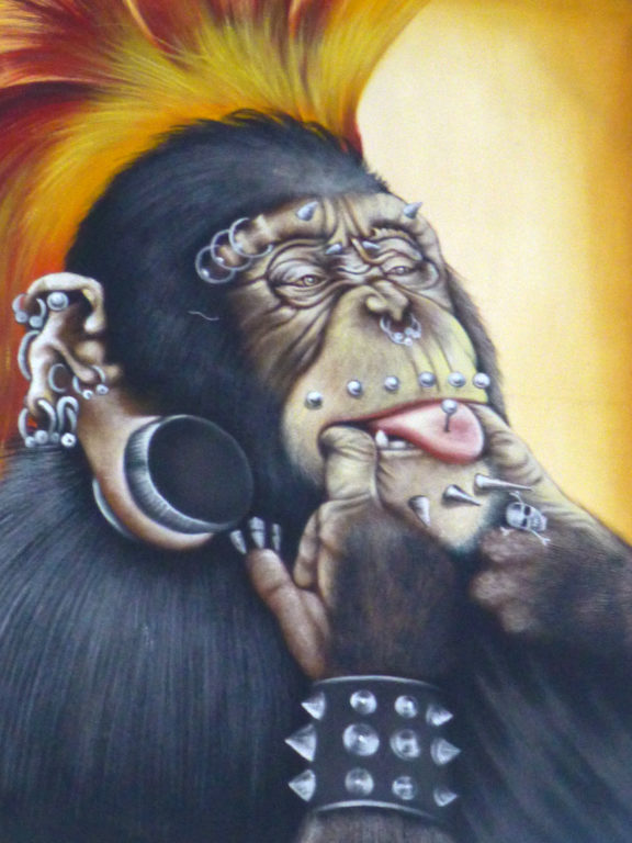 Punk chimpanzee