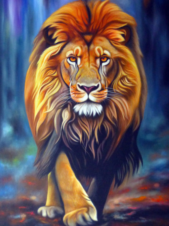 One male lion