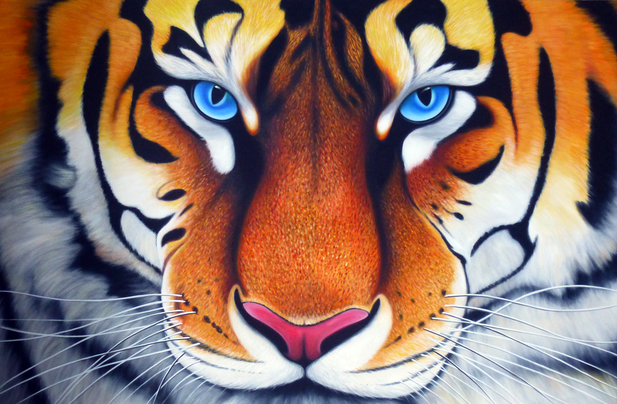 Blue eyed tiger face